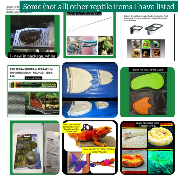 5/$25 Variety bearded dragon, lizard, turtle, iguana harness leash sets - Picture 12 of 13